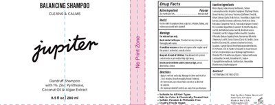 280ml Shampoo.jpg 280ml - 280ml Shampoo